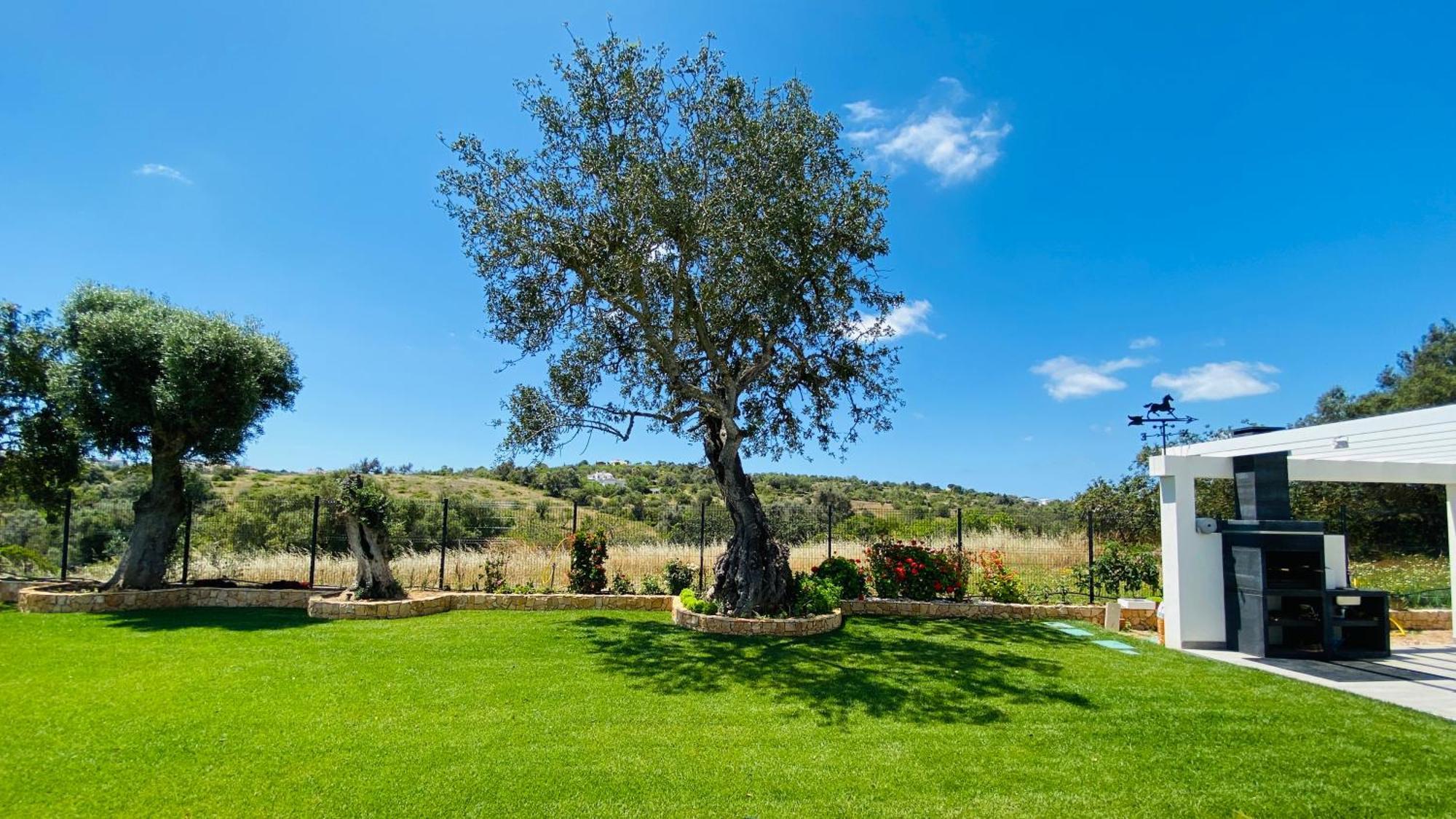 Eden By Check-In Portugal Villa Albufeira Ngoại thất bức ảnh